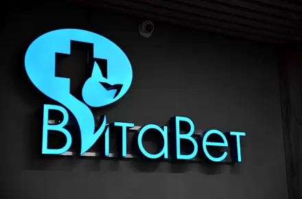 ВитаНовости